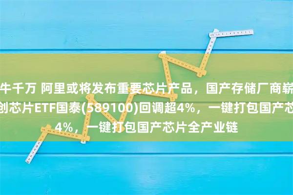 牛千万 阿里或将发布重要芯片产品，国产存储厂商崭露头角，科创芯片ETF国泰(589100)回调超4%，一键打包国产芯片全产业链